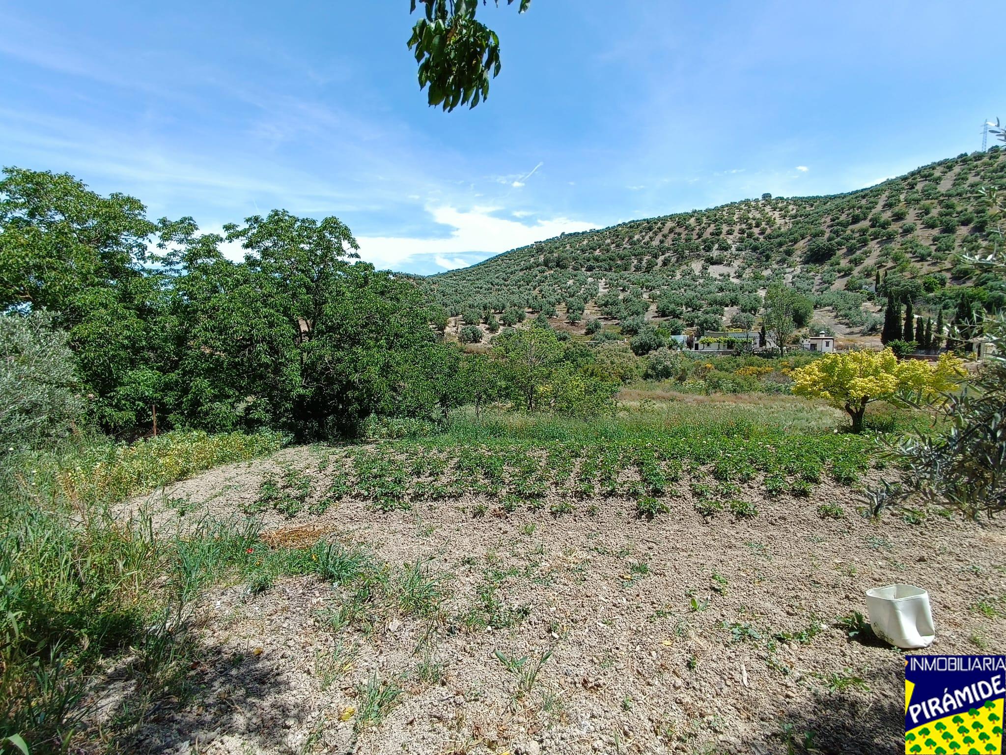 Terreno en venta en Priego de Córdoba